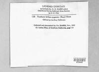 Image Associated With the Occurence